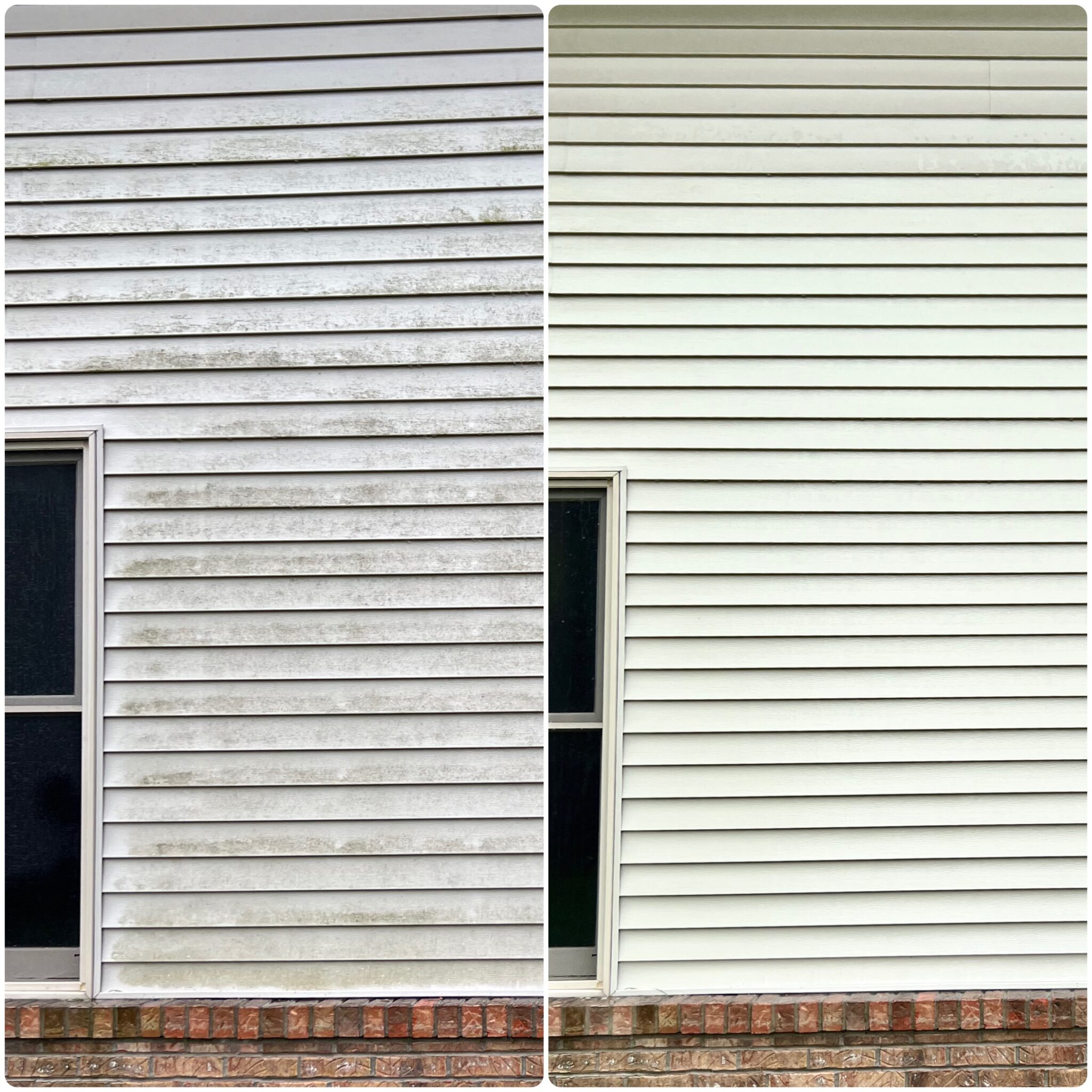 Siding Cleaning