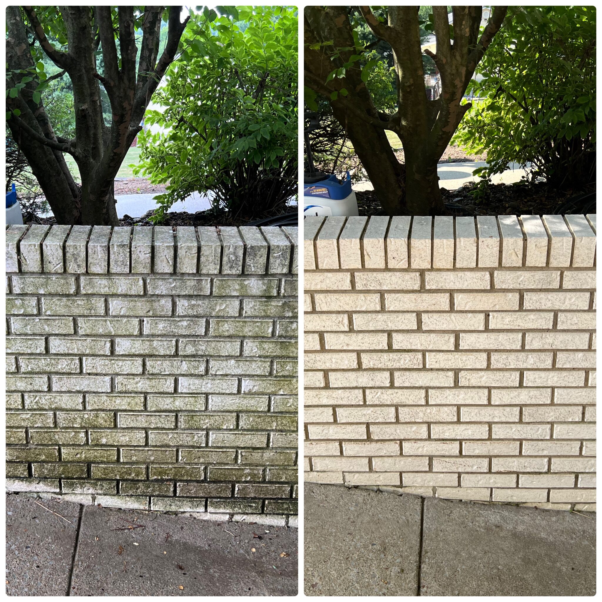 Brick Cleaning